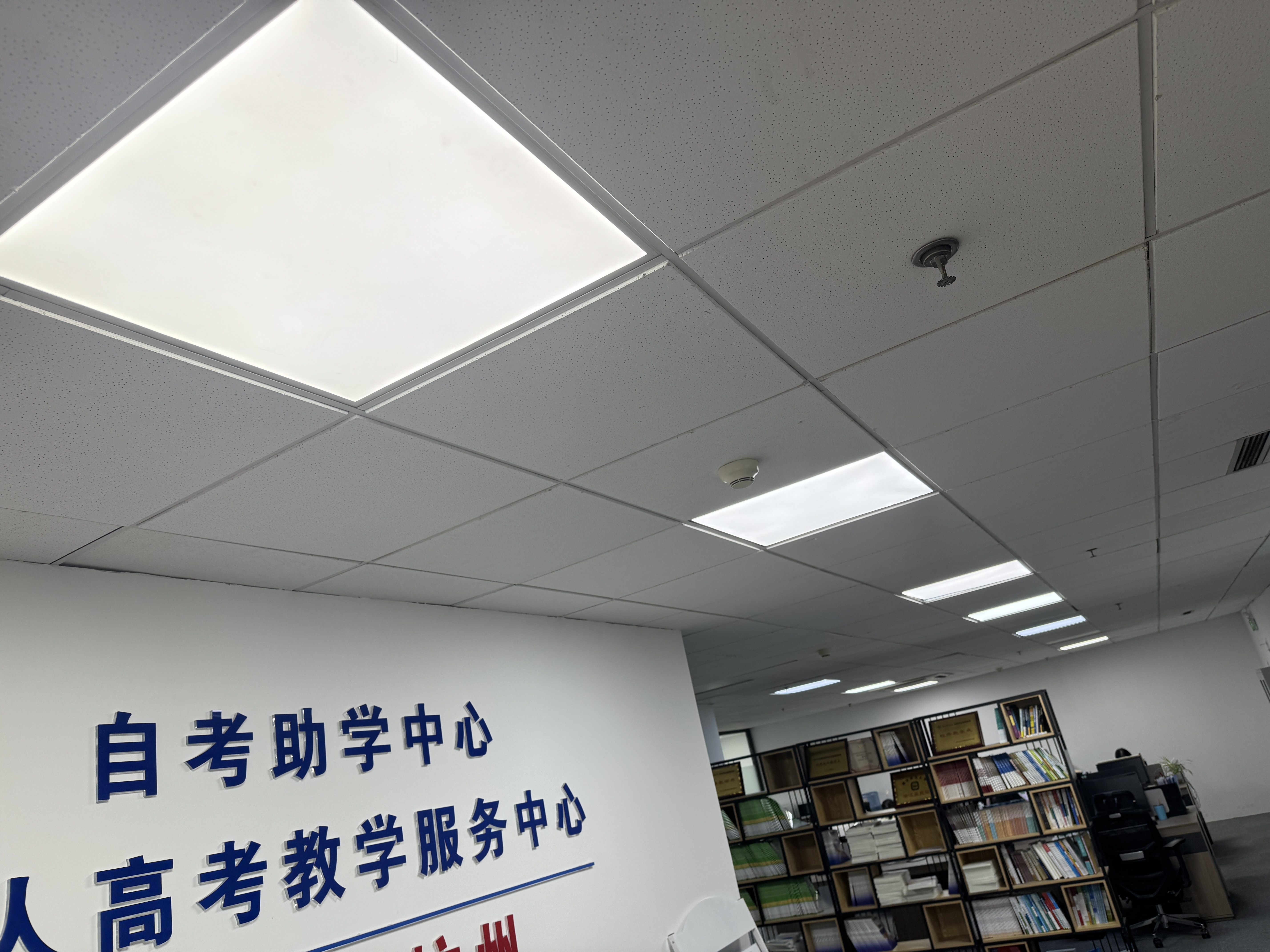 相册图片