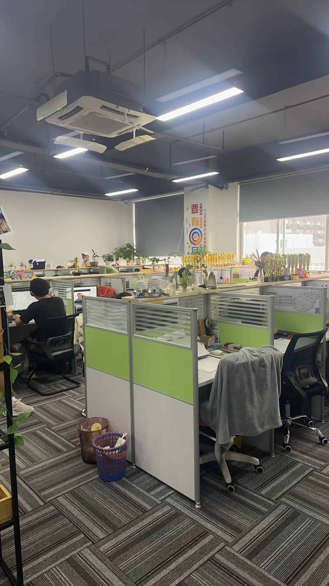 相册图片